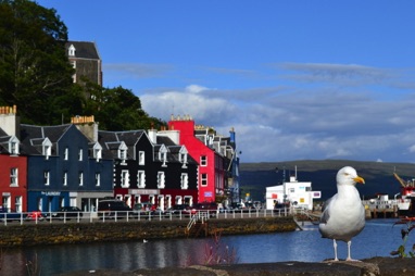 Tobermory